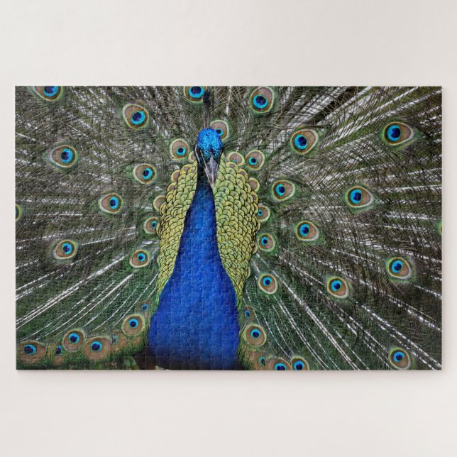 Puzzle Majestic Peacock (Horizontal)