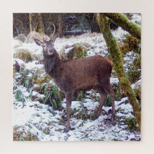 Puzzle Majestuoso Ciervo Invernal Bosque Nevado Fauna Esc