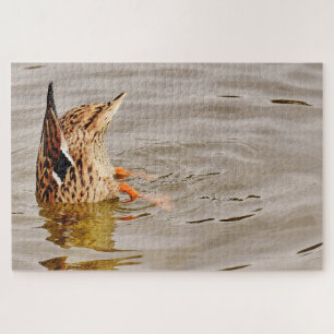 Puzzle Malard Duck Alimentando Bajo El Agua