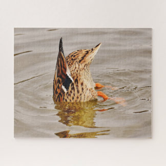 Puzzle Malard Duck Alimentando Bajo El Agua