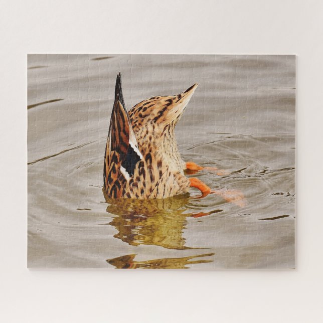 Puzzle Malard Duck Alimentando Bajo El Agua (Horizontal)