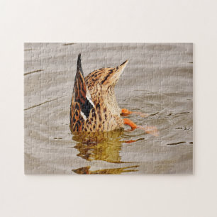 Puzzle Malard Duck Alimentando Bajo El Agua
