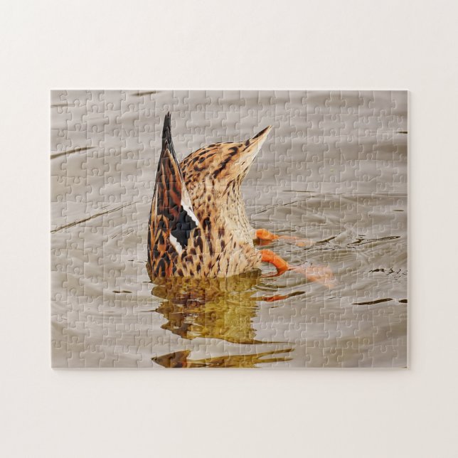 Puzzle Malard Duck Alimentando Bajo El Agua (Horizontal)