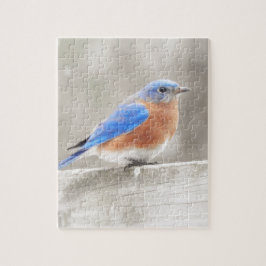 Puzzle Male Eastern Bluebird