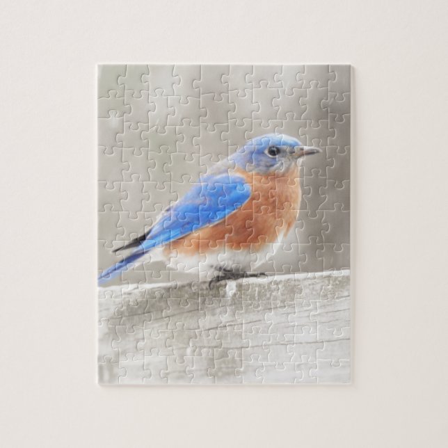 Puzzle Male Eastern Bluebird (Vertical)