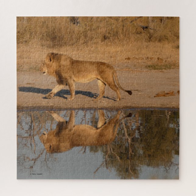PUZZLE MALE LION REFLECTED (Vertical)