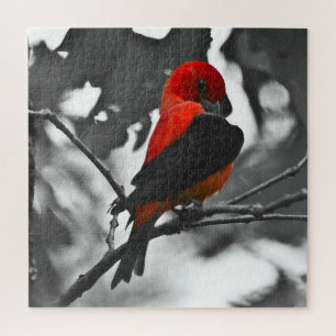 Puzzle Male Scarlet Tanager
