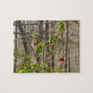 Puzzle Maleza de Azalea Salvaje en Smoky Mountains