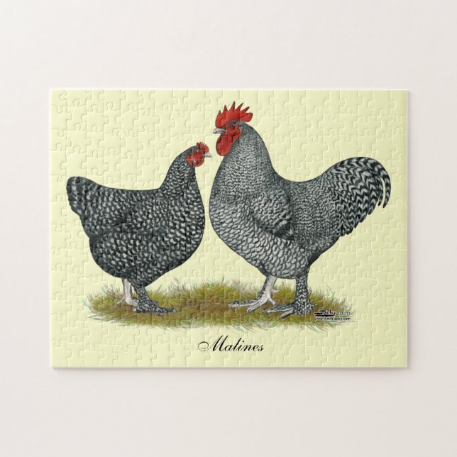 Puzzle Maline Chickens (Horizontal)