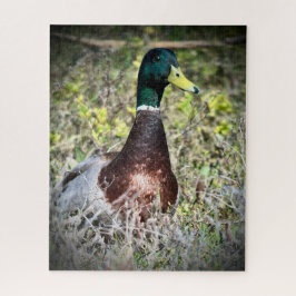 Puzzle Mallard