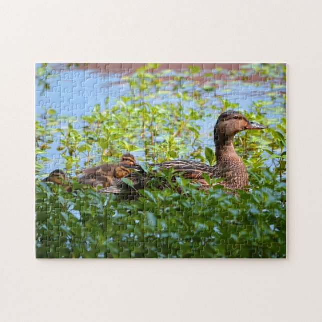 Puzzle Mallard and Ducklings-Swimming by Shirley Taylor (Horizontal)