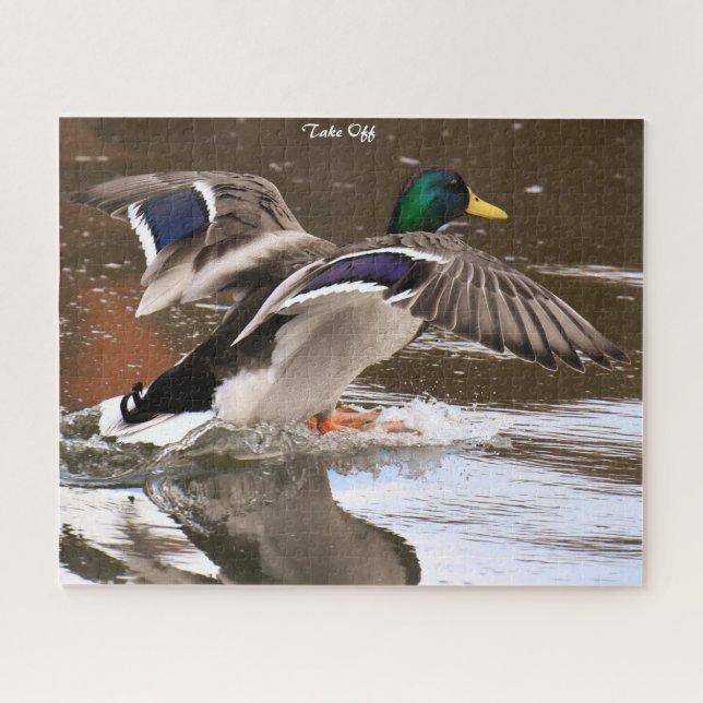 Puzzle Mallard Duck in Flight (Horizontal)