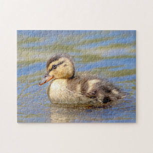 Puzzle Mallard Duckling