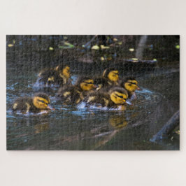 Puzzle Mallard Ducklings