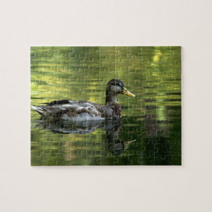 Puzzle Mallard Mirrored En Green Water