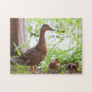 Puzzle Mallard y Ducklings por Shirley Taylor