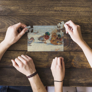 Puzzle Mallard y verde azulado en la nieve, Aves