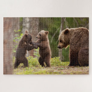 Puzzle Mamá de oso grizzly con cachorros juguetones