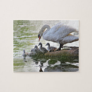 Puzzle Mamá Swan y sus siete pollos del cisne