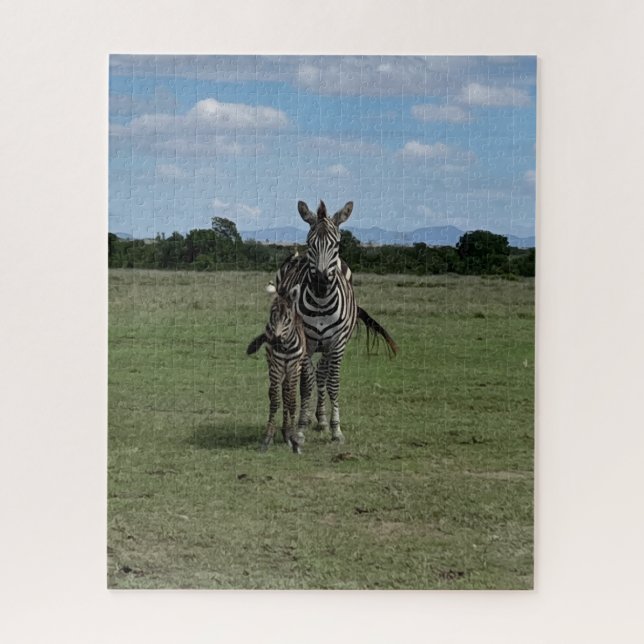 Puzzle Mamá y bebé cebra Kenia (Vertical)