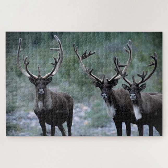 Puzzle Manada de alces | Mt. Baring, Washington (Horizontal)