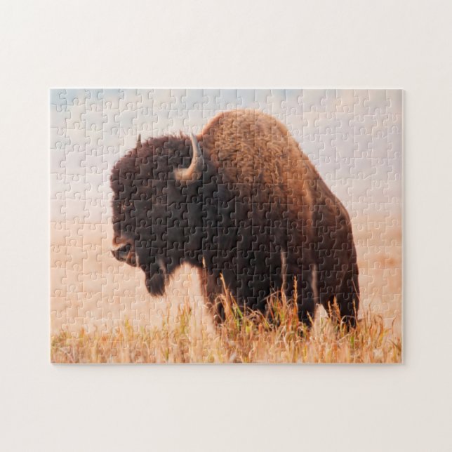 Puzzle Manada de Bisontes Americanos (Bison Bison) en Tet (Horizontal)
