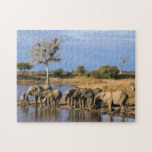 Puzzle Manada de elefante africano de sabana (Loxodonta A
