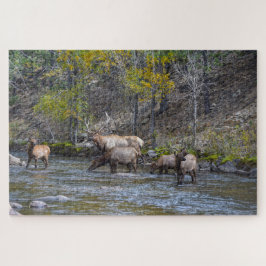 Puzzle Manada de elk en el río Big Thompson