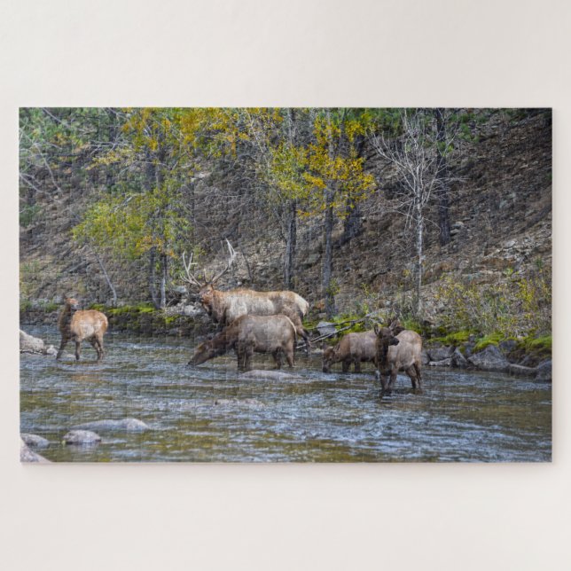 Puzzle Manada de elk en el río Big Thompson (Horizontal)