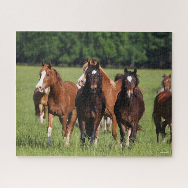 Puzzle Manada de ponis galeses en pie de campo (Horizontal)