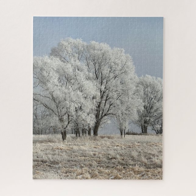 Puzzle Mañana nevada en Iowa (Vertical)