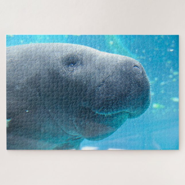 Puzzle Manatee (Horizontal)