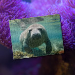 Puzzle Manatee amazónico nadando sobre el arrecife.<br><div class="desc">Esta es una imagen generada por IA. Se supone que es un manatí amazónico. Y quería que estuviera nadando por encima de un arrecife de la Amazonía.</div>
