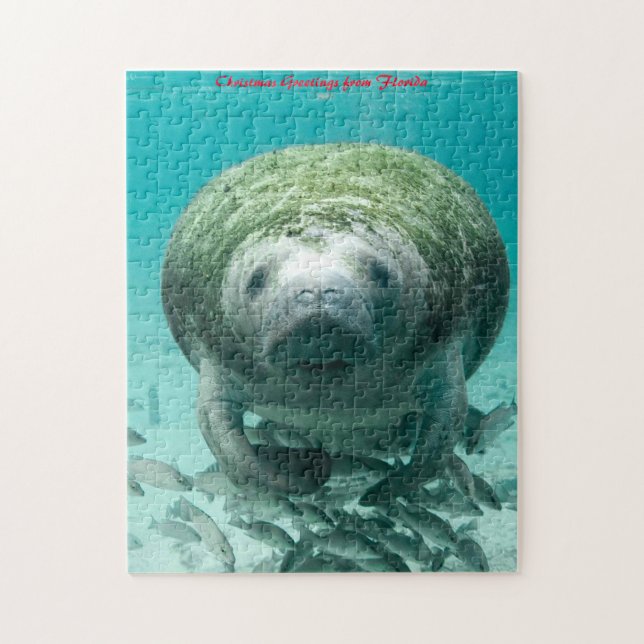 Puzzle Manatee Florida. Saludos de Navidad (Vertical)