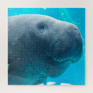 Puzzle Manatí