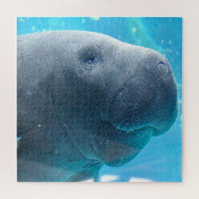 Puzzle Manatí (Horizontal)
