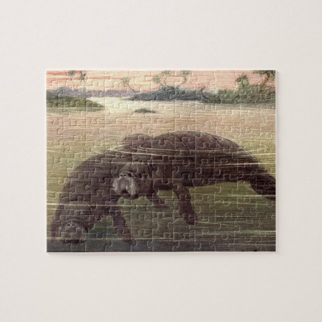 Puzzle Manatíes de época o vacas marinas, mamíferos marin (Horizontal)