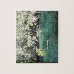 Puzzle Manatíes Natando Parque Estatal Florida Blue Sprin