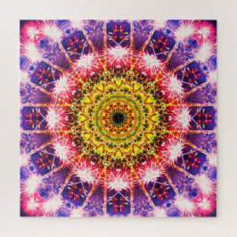 Puzzle Mandala brillante de los fuegos artificiales