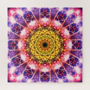 Puzzle Mandala brillante de los fuegos artificiales