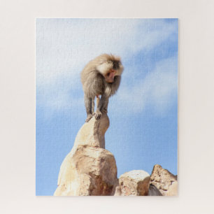 Puzzle Mandrill en la cima de una montaña