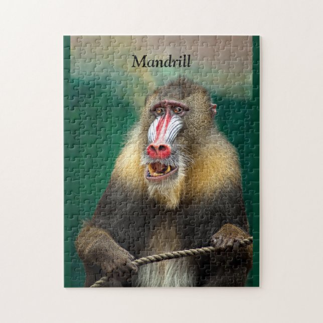 Puzzle Mandrill, simio africano (Vertical)