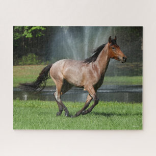 Puzzle Mangalarga corriendo frente a la fuente