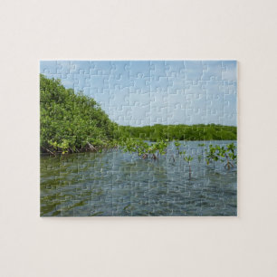 Puzzle Manglares bebés en el Caribe