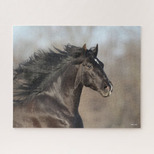 Puzzle Mano andaluza negra en la cabeza