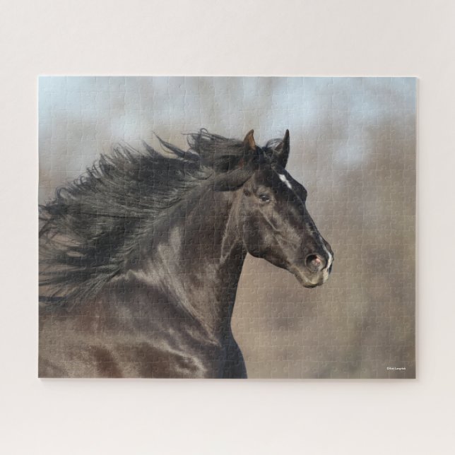 Puzzle Mano andaluza negra en la cabeza (Horizontal)