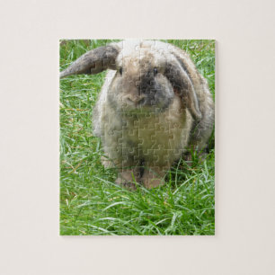 Puzzle Manosee el conejo