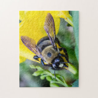 Puzzle Manosee la abeja