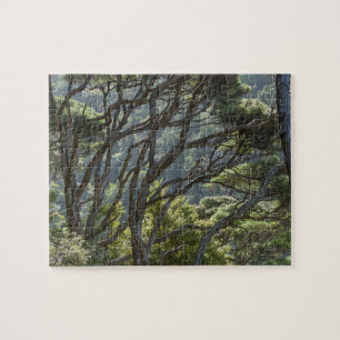 Puzzle Manuka Tree Forest Nueva Zelanda