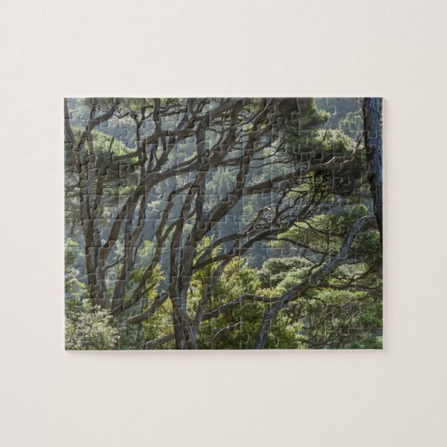 Puzzle Manuka Tree Forest Nueva Zelanda (Horizontal)